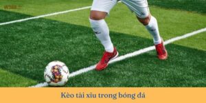 Hiểu rõ các hình thức cá cược phổ biến